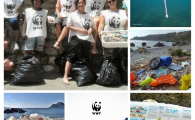 WWF: questa estate la guerra ai rifiuti di plastica entra nel vivo!
