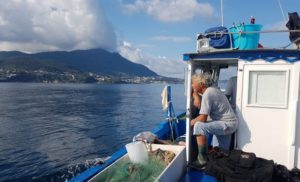BLU FISH 2019: LA REGIONE CAMPANIA PROMUOVE IL “PESCE POVERO”