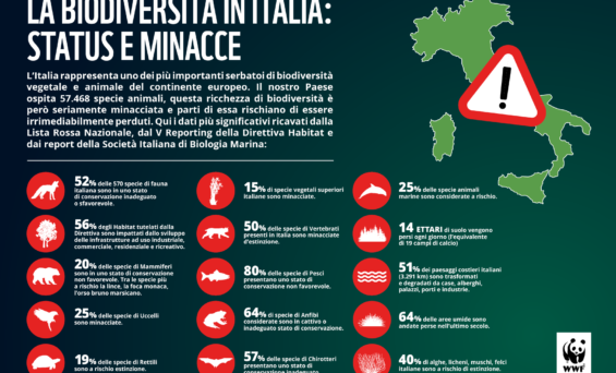 WWF: BIODIVERSITÀ IN ITALIA, UN PUZZLE SMONTATO E SOTTO ASSEDIO